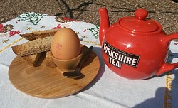 Off centre egg cup and plate